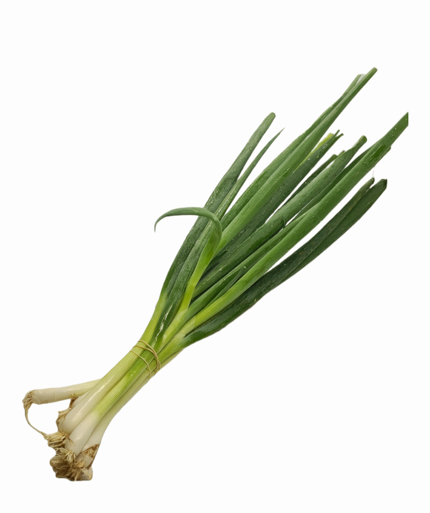 Lauchzwiebeln Bio