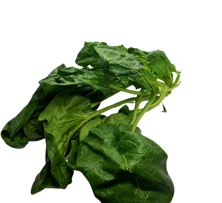 Spinat Bio 