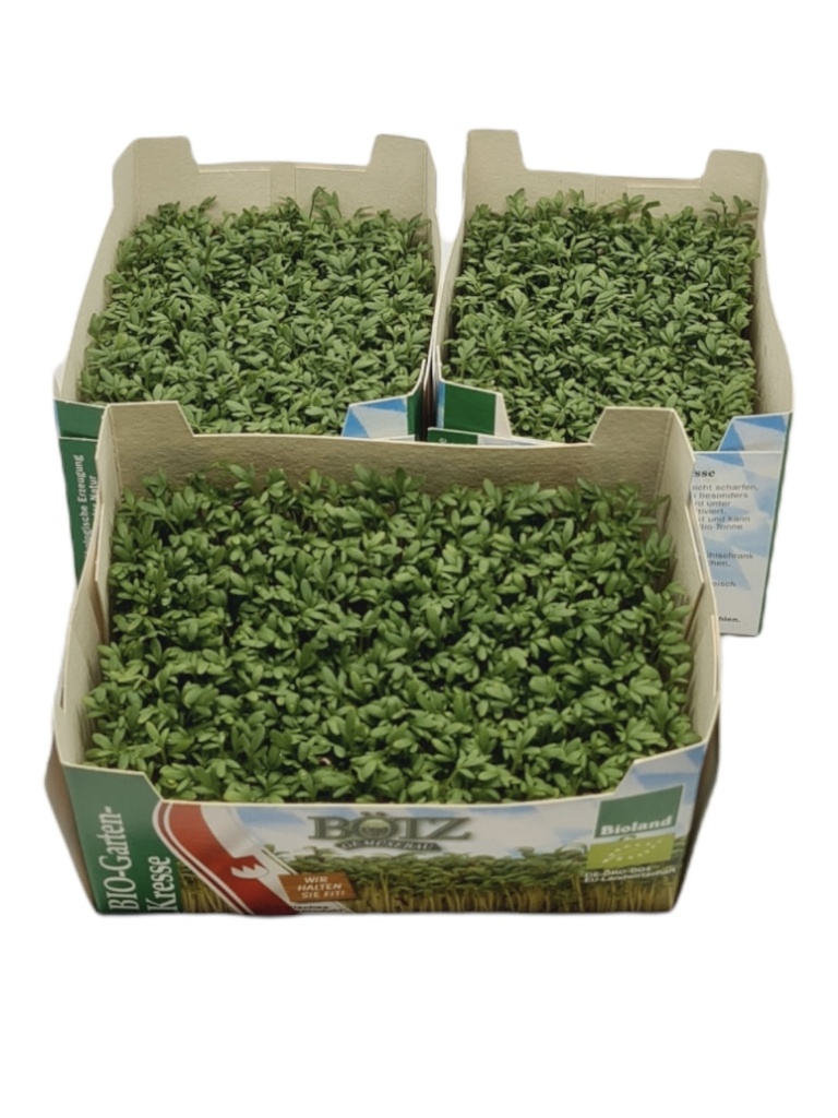 Kresse Bio in Schälchen