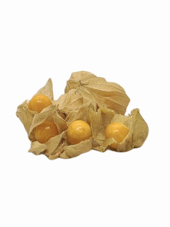 Physalis Bio 100g