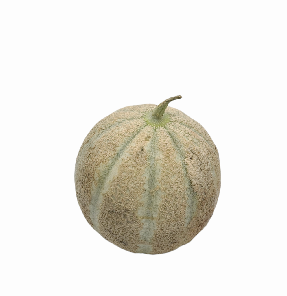 Charentais Melone Stk. Bio