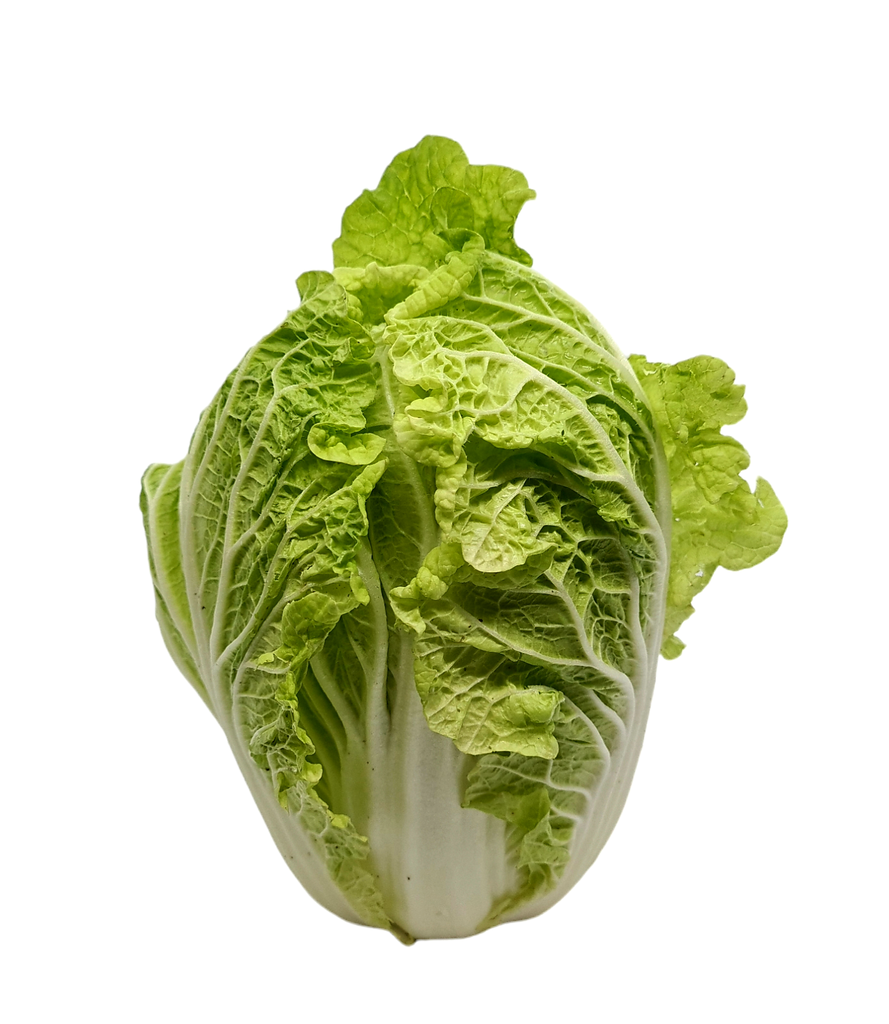 Chinakohl Bio in Stck.