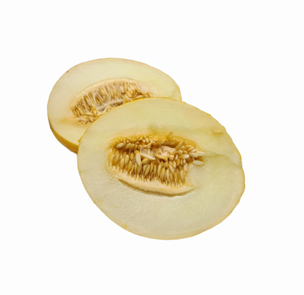 Honigmelone Bio