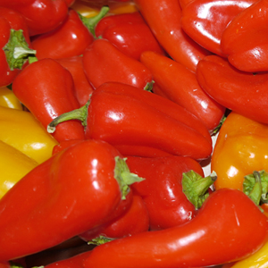 Minipaprika gelb/rot Bio