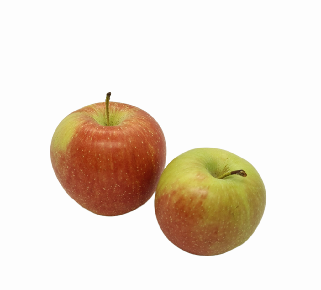 Apfel Sansa Bio