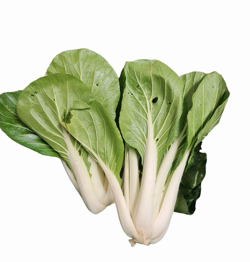 [302514] Pak Choi Bio  Stck.